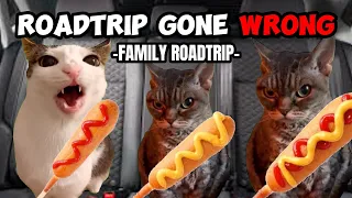 CAT MEMES: ROADTRIP GONE WRONG AGAIN