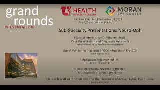 Sub-Specialty Presentations: Neuro-Ophthalmology