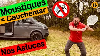 Moustiques et Vanlife 🦟 la galère !! Comment lutter efficacement ? Nos astuces