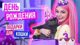 ДЕНЬ РОЖДЕНИЯ КОШЕЧКИ БАТТЕРС ! МОИ ПОДАРКИ НА ДЕНЬ РОЖДЕНИЯ!