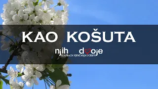 Kao košuta - Njih dvoje (sample)