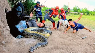 Team Spider-Man And Pitbull Dog Confront Fierce Gorilla Monster To Save The Girl