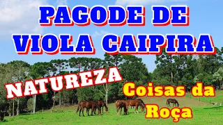 PAGODÃO DE VIOLA CAIPIRA - UMA VIAGEM PELAS ESTRADAS DE CHÃO COM MUITA NATUREZA E COISAS DA ROÇA