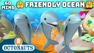 ​@Octonauts -  🪸 Friendly Ocean Creatures 🐠 | Anti-Bullying Month 🫶 | 60 Mins Compilation