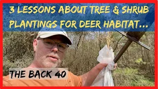 3 Important Lessons About Planting Trees & Shrubs for Deer Habitat