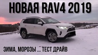 Toyota RAV4 2019 Тест Драйв, Обзор, Впечатления