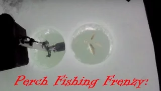 First Ice Perch Fishing Frenzy (2016-2017)