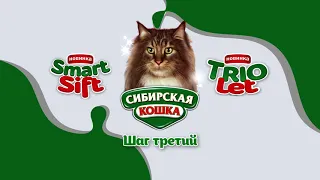 SMART SIFT и TRIOLET, "Сибирская кошка"