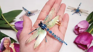 Get Ready To Be Amazed By This Stunning Dragonfly!