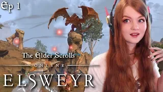 FIGHTING OUR FIRST DRAGON!! | LET'S PLAY: ESO ELSWEYR! | Closed Beta Gameplay! Ep 1