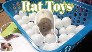 Dollar Store Rat Toys & Cage Accessories!