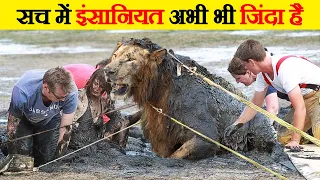 इंसानों ने कैसे बचाई जानवरों की जान | When people helped  animals | Wild animal rescue operation