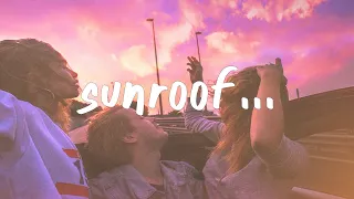 Nicky Youre - Sunroof (Lyrics)