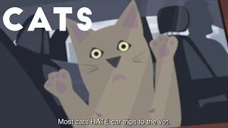 Every cat loves car trips! Right??