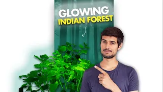 This Indian Forest Glows in Night!