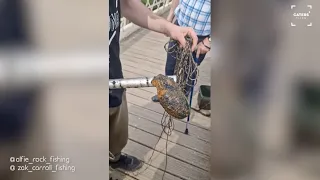 Guy Pulls WWII Hand Grenade From River While Magnet Fishing