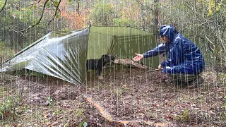 Kamperen in de regen-Gevangen in zware regen met mijn hond, ontspannende regengeluiden,koken in tarp