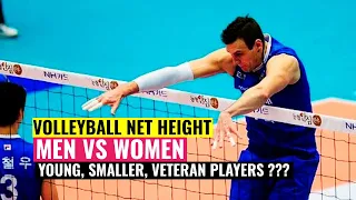 Volleyball Net Height | Men vs Women, Youth | Future for Smaller & Senior Players?