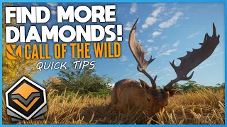 Tips For Finding Diamonds & Rares! | theHunter: Call Of The Wild