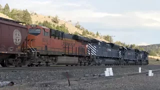 Grain, 737s, helpers, and more! Railfanning Livingston, MT 10-5-16 // Trinity Rail Productions
