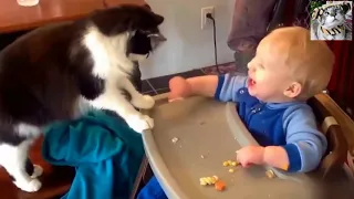 Смешные Приколы с Кошками! Коты и Дети! Funny Fun with Cats! Cats and Children!