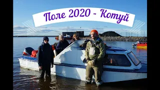 2020 котуй