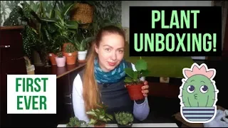 My first PLANT UNBOXING! And it's SICK! :D | PLANTHAUL