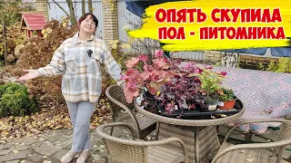 Вы уже отдыхаете? А мы еще работаем! В питомник на распродажу - и САЖАТЬ! Еще не поздно!