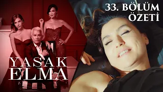 Yasak Elma 33. Bölüm Özeti