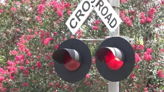 Thomas St, Hammond, LA Railroad crossing