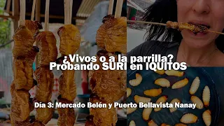 No creas lo que dicen del mercado BELEN en IQUITOS. No es exótico. ¿Ya probaste el SURI?