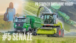 #5 Po stopách rostlinné výroby I SENÁŽOVÁNÍ VOJTĚŠKY☘️