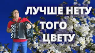 👍🍏 Песня "ЛУЧШЕ НЕТУ ТОГО ЦВЕТУ"🍏Сергей Анацкий