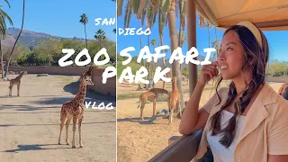 GOING ON A WILDLIFE SAFARI!! || san diego safari park vlog 2022