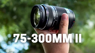 Olympus 75-300mm F4.8-6.7 II - The Underrated Super Telephoto Zoom Lens
