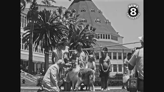 Lassie the world famous dog visits San Diego in 1956