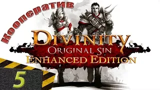 Зал Героев | Divinity: Original Sin Enhanced Edition #5