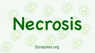 Necrosis, definition, morphology, nuclear changes, mechanisms, types