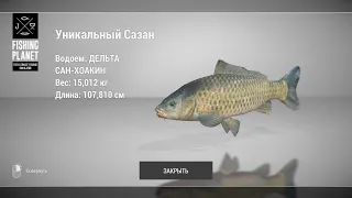 Fishing Planet - Как и где ловить Сазана на Дельта Сан Хоакин