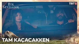 Tufan ve Menevşe tam kaçacakken… - Bir Sevdadır 13. Bölüm @trt1