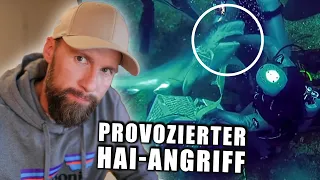 Provozierter HAI-ANGRIFF von Joko & Klaas | Meeresbiologe analysiert | Robert Marc Lehmann