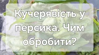 Друга весняна обробка дерев. Захист від хвороб і шкідників. Хорус+скор+актара #захист #сад #обробка