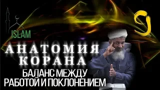 Хасан Али. Почему шейх застрял в Англии. Анатомия Корана #9