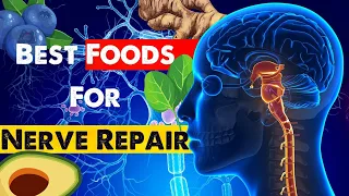 5 Amazing Foods for Nerve Damage Repair | Heal Neuropathy