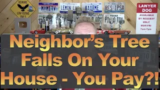 Neighbor's Tree Falls On Your House - You Pay?!