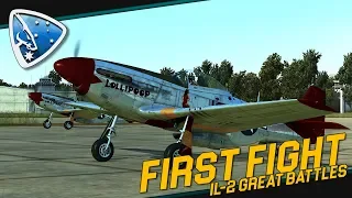 IL-2 Great Battles: First Fight | P-51D