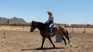 Kenda Lenseigne horse in training