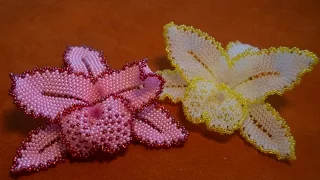 Flowers of beads.  Beaded Orchid.  Beadwork.  Master class.  Part 2