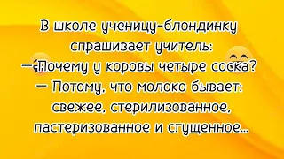 Блондинку останавливает Гаишник и говорит...😁😁😁 Смешные Анекдоты