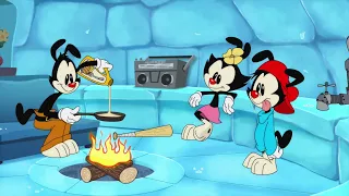 Animaniacs 2020 - Everyday Safety